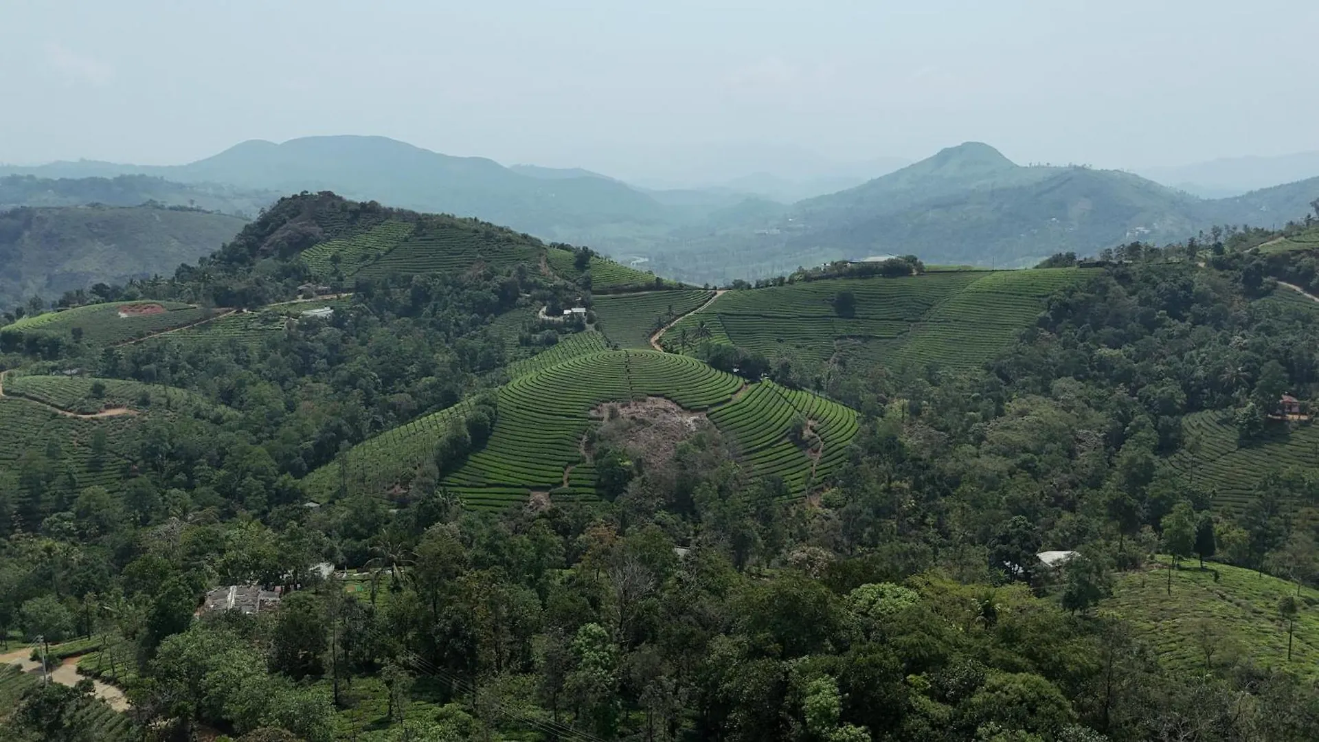ואגאמון Tea Harmony Bunglow