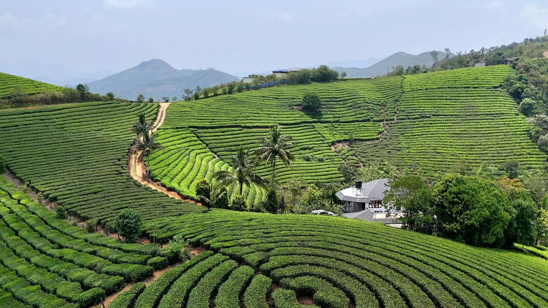 ואגאמון Tea Harmony Bunglow